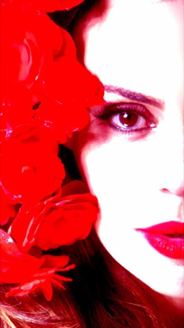 Ensaio New York Time